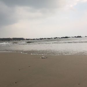 Meet your Posher, Nguyet